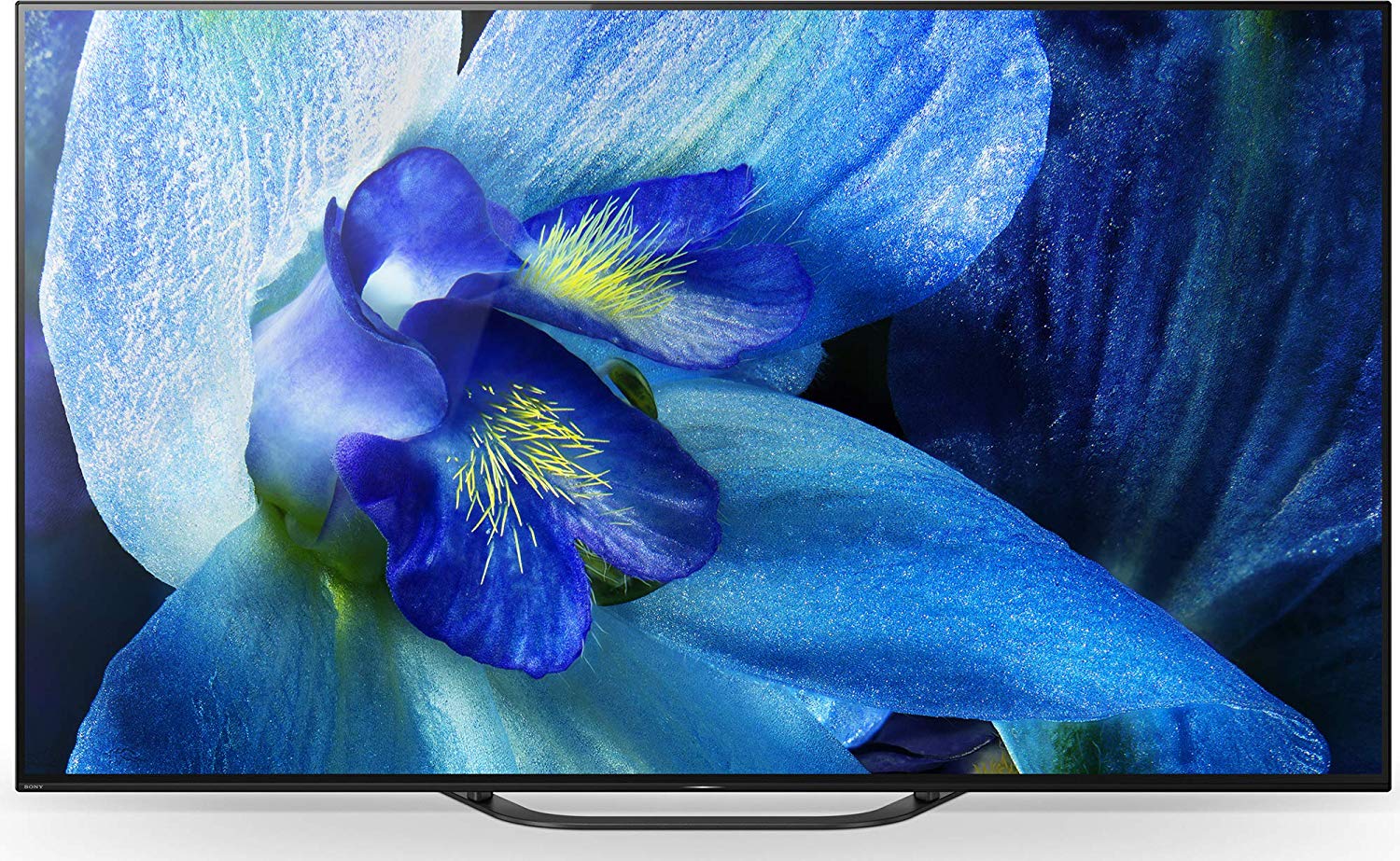 Sony Master Series A8G 65 Inch